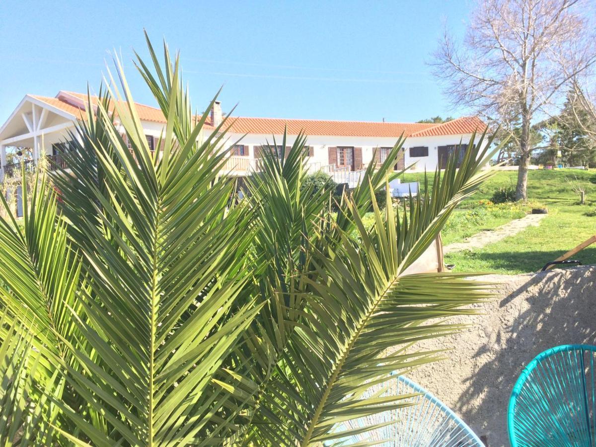 Elemental Ericeira Bed and Breakfast Eksteriør billede